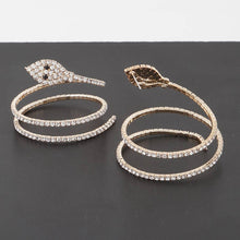Load image into Gallery viewer, &quot;twin Snakes&quot; Earrings
